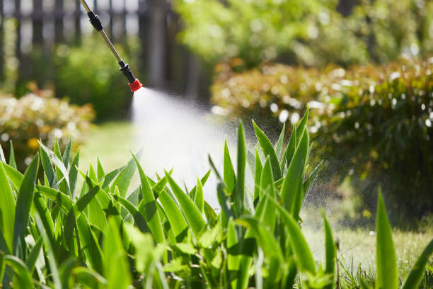Tamper-Resistant Bait Stations for Rodents in St. Robert