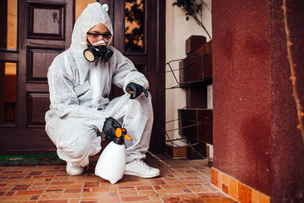 Attic and Crawl Space Rodent Treatment in St. Robert