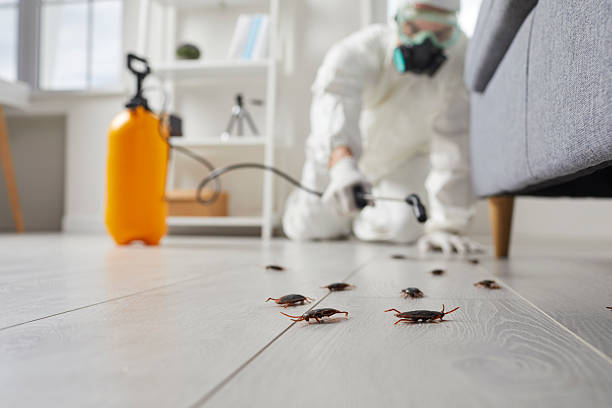 Commercial Rodent Management in St. Robert